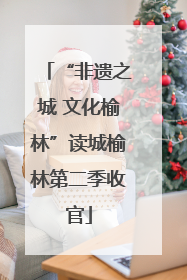 “非遗之城 文化榆林”读城榆林第二季收官
