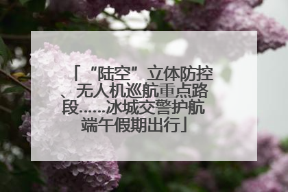 “陆空”立体防控、无人机巡航重点路段……冰城交警护航端午假期出行