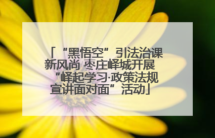 “黑悟空”引法治课新风尚 枣庄峄城开展“峄起学习·政策法规宣讲面对面”活动