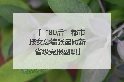 “80后”都市报女总编张晶履新省级党报副职
