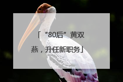 “80后”黄双燕，升任新职务