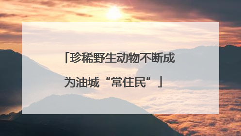 珍稀野生动物不断成为油城“常住民”