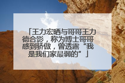 王力宏晒与哥哥王力德合影，称为博士哥哥感到骄傲，曾透露“我是我们家最弱的”