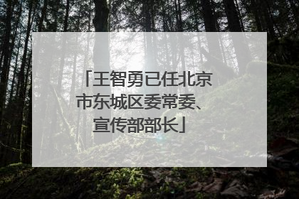 王智勇已任北京市东城区委常委、宣传部部长