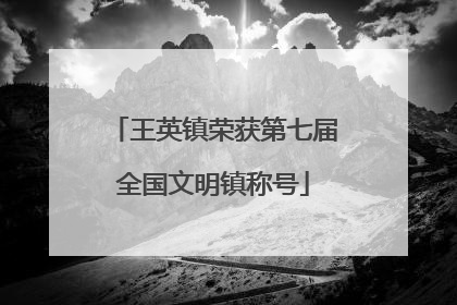 王英镇荣获第七届全国文明镇称号