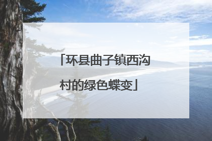 环县曲子镇西沟村的绿色蝶变