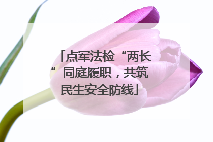 点军法检“两长”同庭履职，共筑民生安全防线