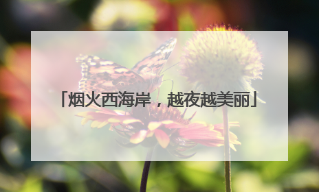 烟火西海岸，越夜越美丽