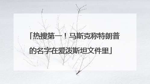 热搜第一！马斯克称特朗普的名字在爱泼斯坦文件里