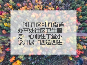 牡丹区牡丹街道办事处社区卫生服务中心前往丁堂小学开展“四送四进四提升”及无烟日宣传活动