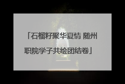 石榴籽聚华夏情 随州职院学子共绘团结卷
