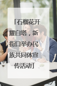 石榴花开耀白塔，新街口举办民族共同体宣传活动