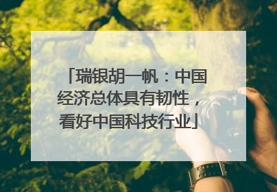 瑞银胡一帆：中国经济总体具有韧性，看好中国科技行业