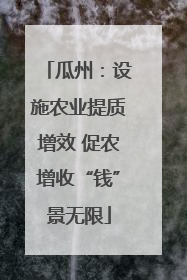 瓜州：设施农业提质增效 促农增收“钱”景无限