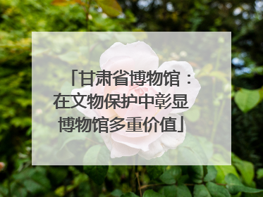 甘肃省博物馆：在文物保护中彰显博物馆多重价值
