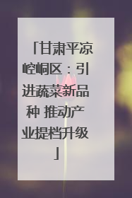 甘肃平凉崆峒区：引进蔬菜新品种 推动产业提档升级