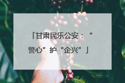 甘肃民乐公安：“警心”护“企兴”