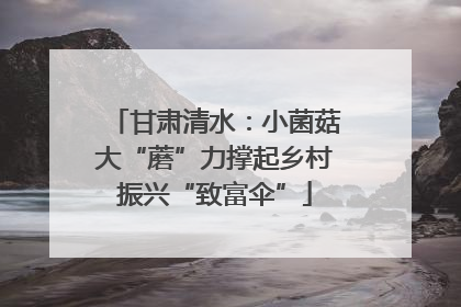 甘肃清水：小菌菇大“蘑”力撑起乡村振兴“致富伞”