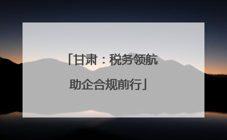 甘肃：税务领航 助企合规前行