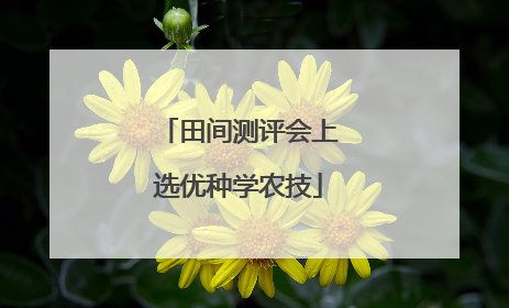 田间测评会上选优种学农技