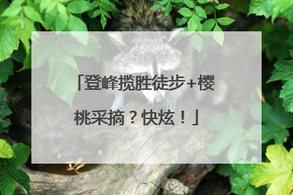 登峰揽胜徒步+樱桃采摘？快炫！