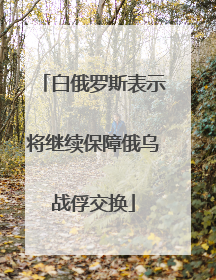白俄罗斯表示将继续保障俄乌战俘交换