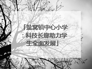盐窝镇中心小学：科技长廊助力学生全面发展