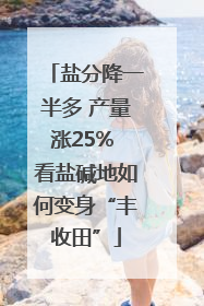 盐分降一半多 产量涨25% 看盐碱地如何变身“丰收田”