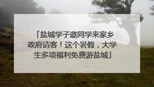 盐城学子邀同学来家乡 政府请客！这个暑假，大学生多项福利免费游盐城