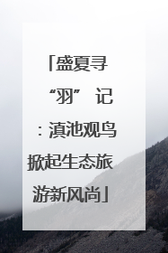 盛夏寻 “羽” 记：滇池观鸟掀起生态旅游新风尚