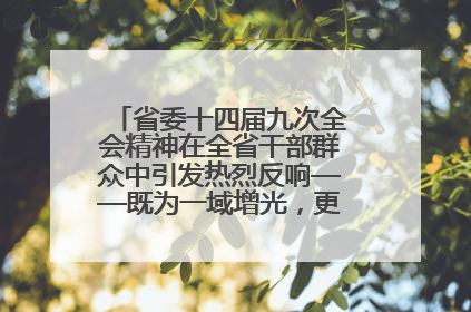 省委十四届九次全会精神在全省干部群众中引发热烈反响——既为一域增光，更为全局添彩