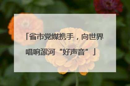 省市党媒携手，向世界唱响漯河“好声音”