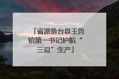 省派鱼台县王鲁镇第一书记护航“三夏”生产