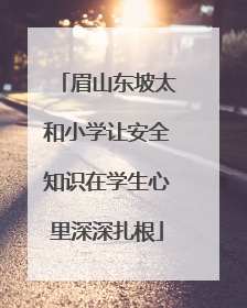 眉山东坡太和小学让安全知识在学生心里深深扎根