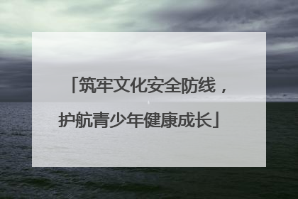 筑牢文化安全防线，护航青少年健康成长