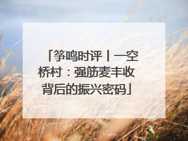筝鸣时评丨一空桥村：强筋麦丰收背后的振兴密码