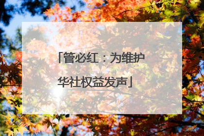 管必红：为维护华社权益发声