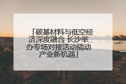 碳基材料与低空经济深度融合 长沙举办专场对接活动撬动产业新机遇