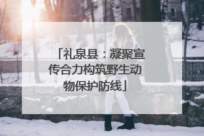 礼泉县：凝聚宣传合力构筑野生动物保护防线