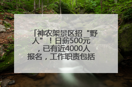 神农架景区招“野人”！日薪500元，已有近4000人报名，工作职责包括“接受游客投喂”