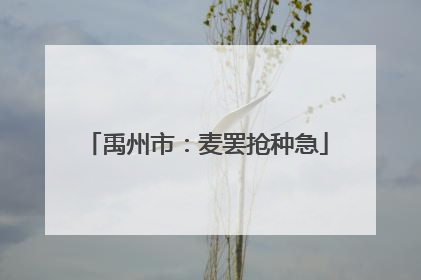 禹州市：麦罢抢种急