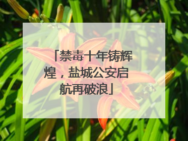 禁毒十年铸辉煌，盐城公安启航再破浪
