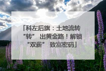 科左后旗：土地流转 “转” 出黄金路！解锁 “双薪” 致富密码