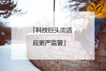 科技巨头需适应更严监管