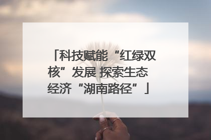 科技赋能“红绿双核”发展 探索生态经济“湖南路径”