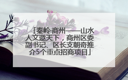 秦岭·商州——山水人文邀天下，商州区委副书记、区长支朝奇推介5个重点招商项目