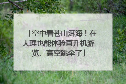 空中看苍山洱海！在大理也能体验直升机游览、高空跳伞了