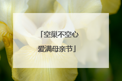 空巢不空心 爱满母亲节