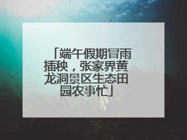 端午假期冒雨插秧，张家界黄龙洞景区生态田园农事忙