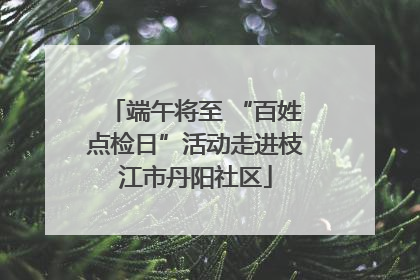 端午将至 “百姓点检日”活动走进枝江市丹阳社区